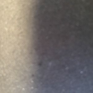 Meet your Posher, Lamonte